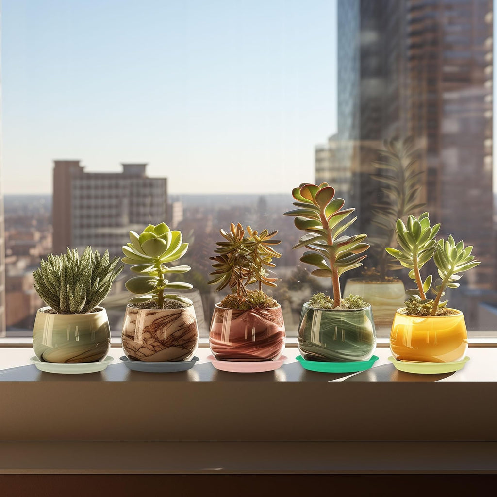 3Pcs Plant Saucer Tray, Heavy Duty Plastic Plant Drip Trays for Indoors and Outdoors, 6 8 10 12 14 16 inch Sizes