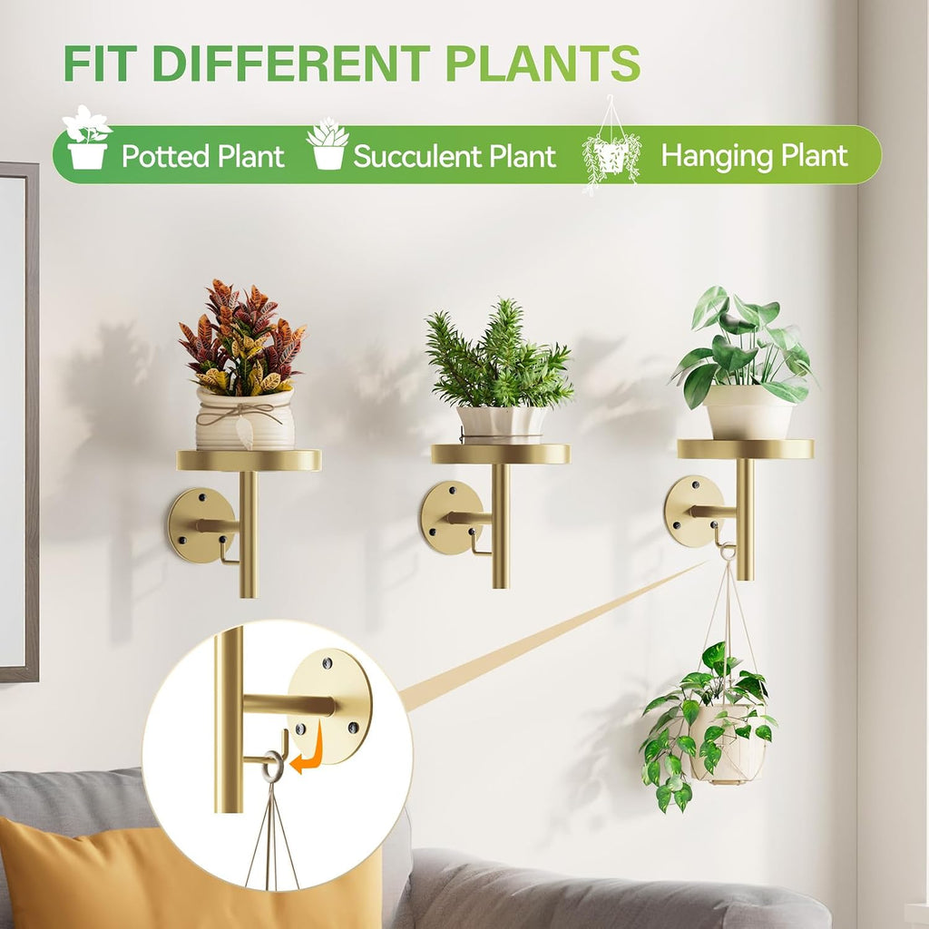 DELLAN Wall Plant Holder, 3-Pack Floating Shelves for Plants, All Gold | Wall mounted indoor hanging plants shelf &