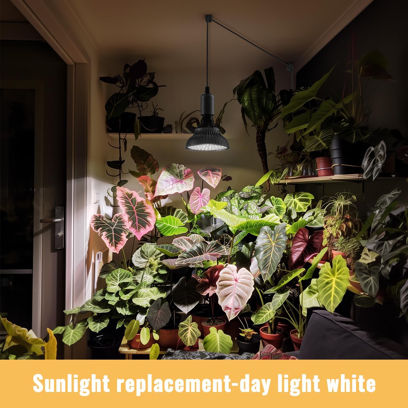 Hanging Grow Lights for Indoor Plants, 25W 5000K, LED Light Bulbs | LED Grow Light, Height Adjustable Pendant, Full