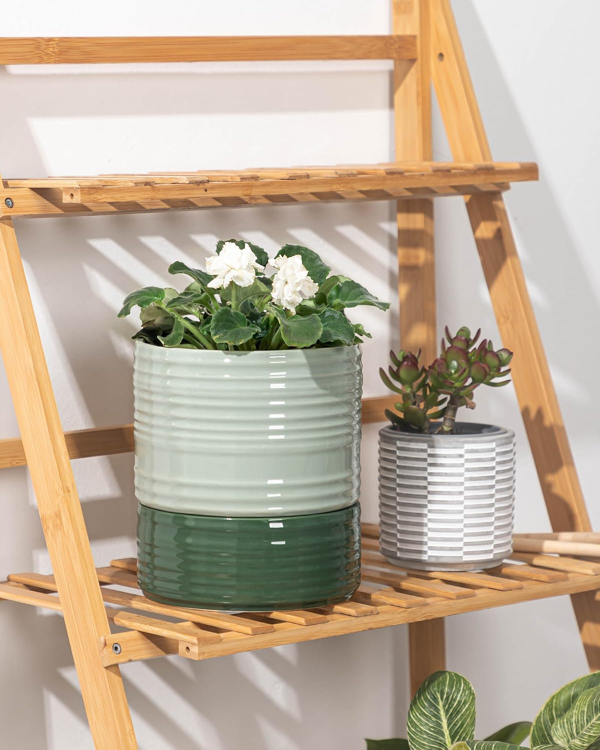 Fayoula Self Watering Pots for Indoor Plants, 6 Inch Ceramic Self Watering Plant Pot, Planter Pot with Wick Rope and