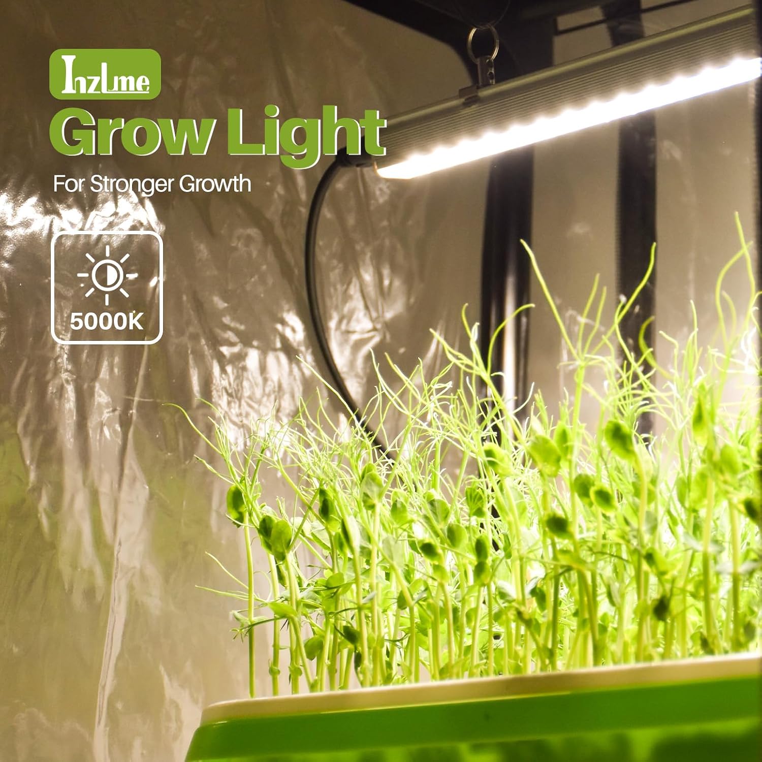 Indoor Greenhouse with Grow Lights, 11.8x15.7x59 | 5000K Full Spectrum, Mini Cabinet, 4 Pack Grow Lights (36W), Auto