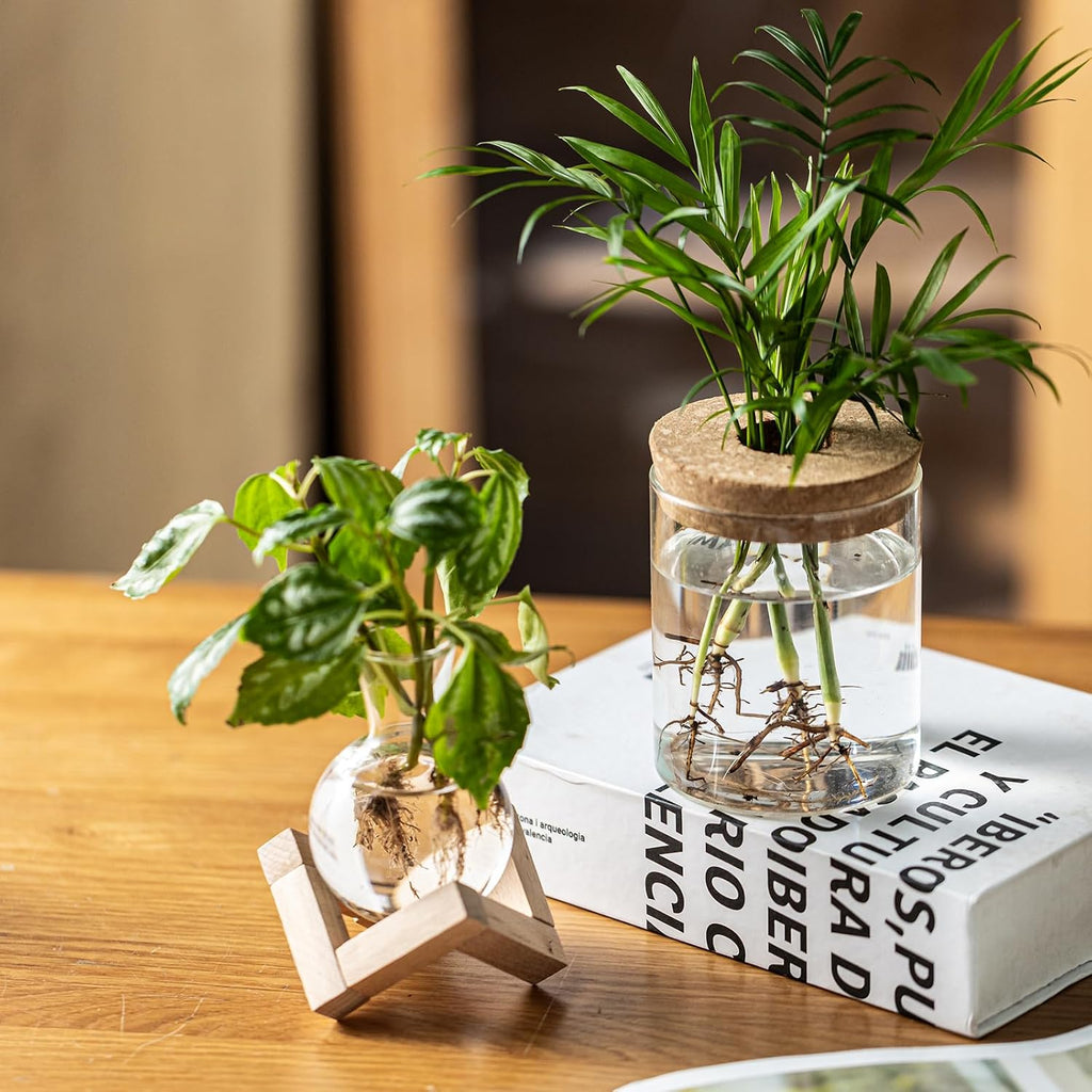 Plant Propagation Station, 2 Style Glass Planter Terrarium Set for Hydroponic Plants | Home Office Tabletop Decor