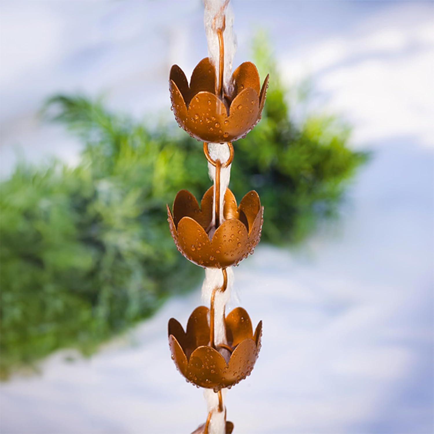 Lily Cup Rain Chain, Copper Plated