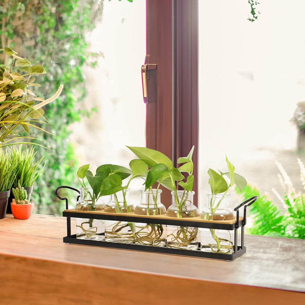 Plant Propagation Station with 5 Glass Jars, Retro Hydroponic Planter Vase | Propagation Jars with Metal Stand, Desktop