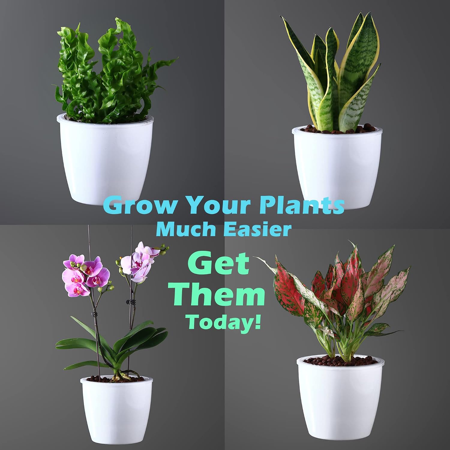 6 Pack 6.7" Self-Watering Planters Flower Pots for Indoor Garden Devil's Ivy, African Violet, Ocean Spider Plant