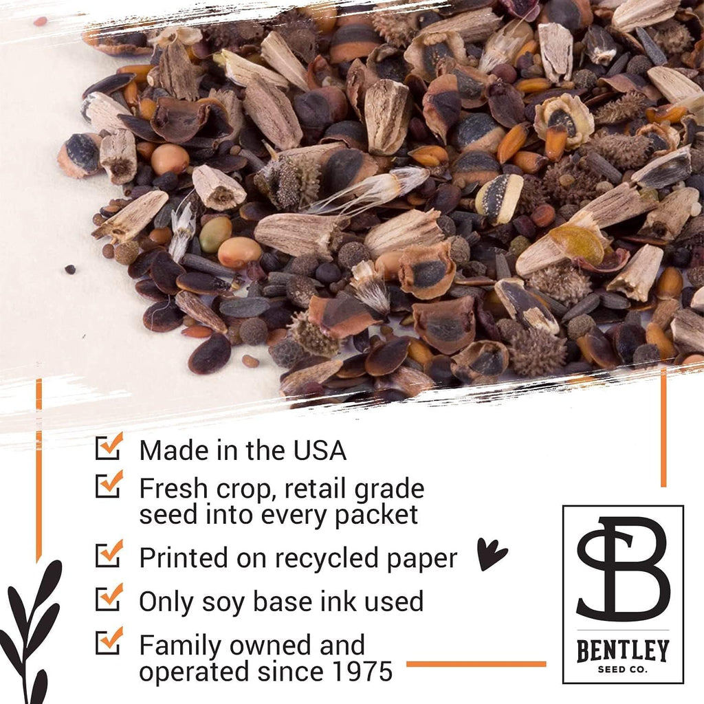 Bentley Seeds Grow with Us Pre Filled Butterfly Mix Seed Packets - 25 Individual Assortment Butterfly Mix Seed Packs