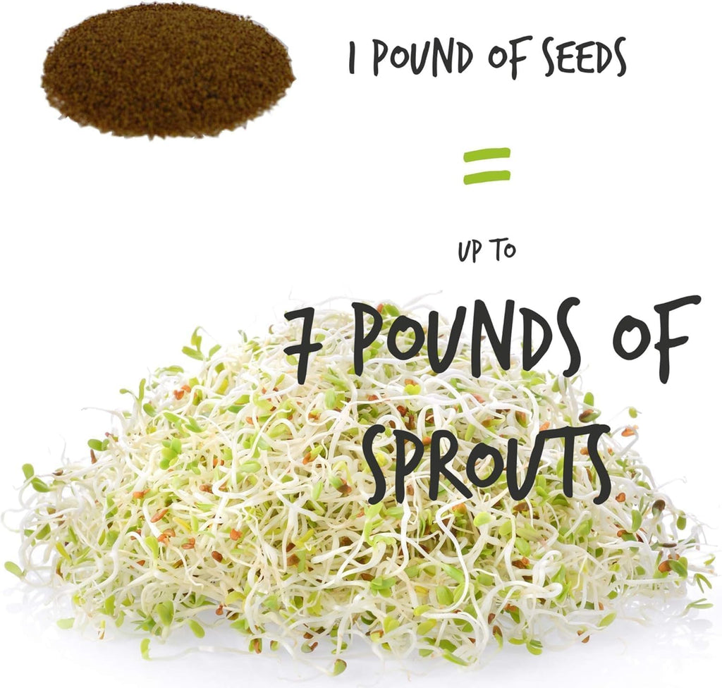 Handy Pantry Organic Birdseed - 5 Lb - Sprouting Bird Seed Mix for Small | Medium & Large Birds- Feed for Songbirds