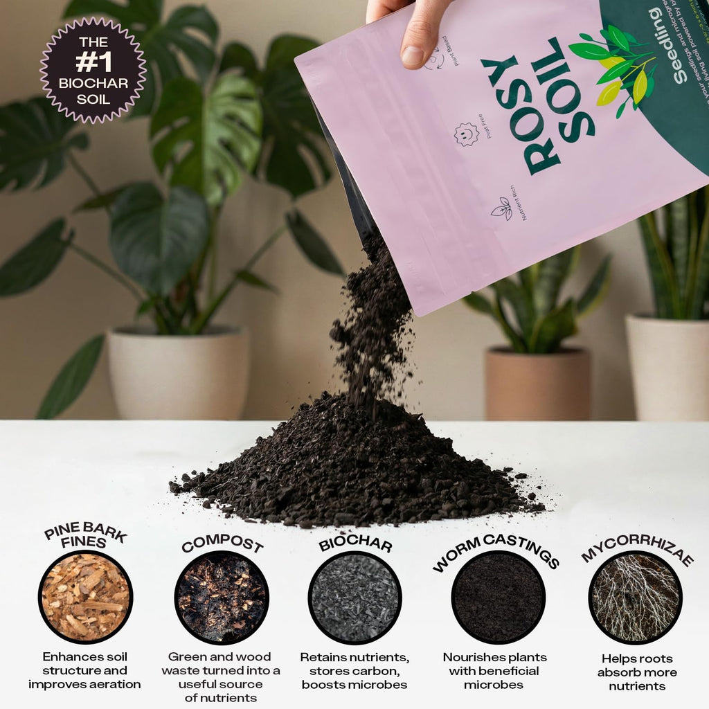 Rosy Soil Seedling Seed Starter Soil Mix, Organic, Peat-Free, 4 Quarts | Worm Castings, Biochar and Mycorrhizae Blend