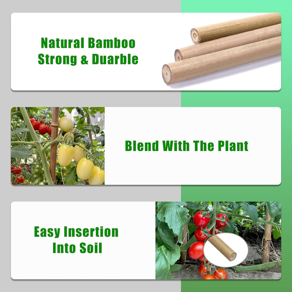 Plant Bamboo Post,4Feet,65Pcs,Bamboo Garden Stakes,Bamboo Stakes,for Tomato,Beans,Vegetable and Flowers, Potted