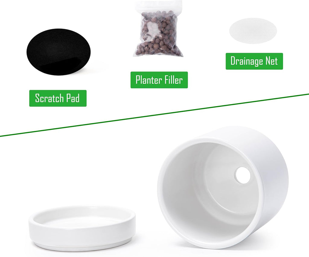 D'vine Dev 4-Pack Ceramic Pots with Saucers, White, 4.7 in, 94-X-B-1 | Glazed Ceramic, Drainage Hole and Saucer, Sleek