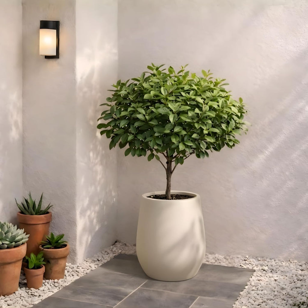 KUTE NEST 12" Corso Fiberstone Outdoor Planter (Kilim Beige) | 12.5"H x 11.4"D For Snake Plants, Herbs & Succulents