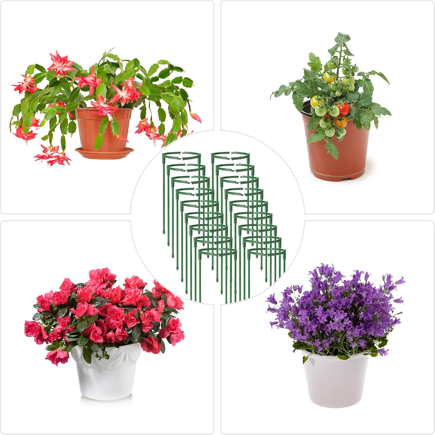 36Packs Plant Support Stake Half Round Plant Support for Indoor Plants, Stackable 3 Tier Garden Flower Support, Plant