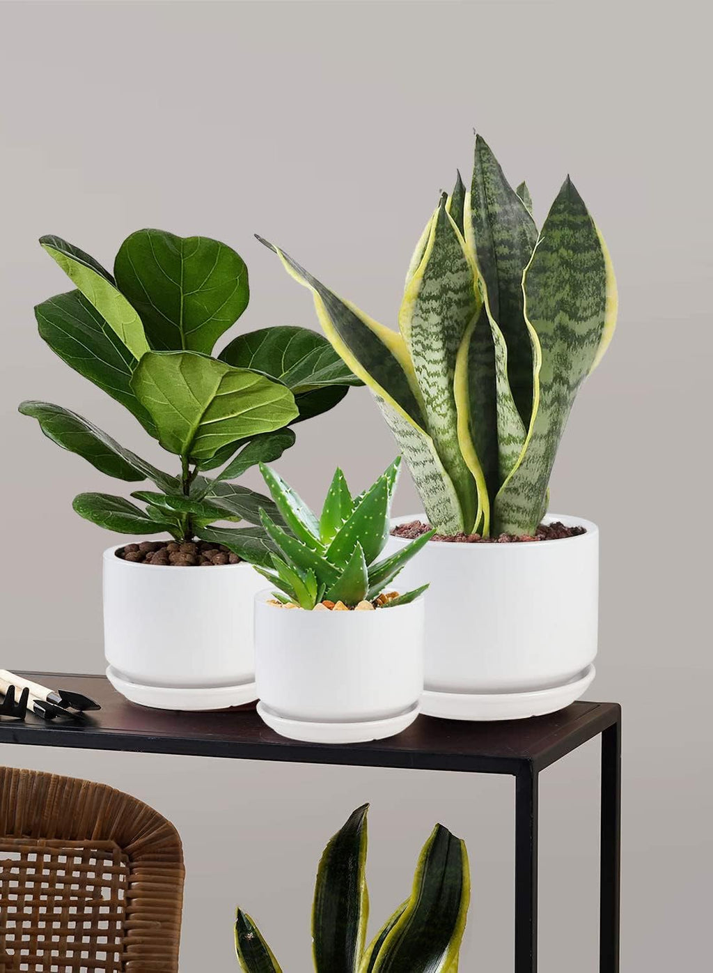 Ceramic Plant Pots with Drainage Hole and Saucer,Modern Indoor Pots for Plants,Ceramic Planter 4.3/5.3/6.7 inchs Set of