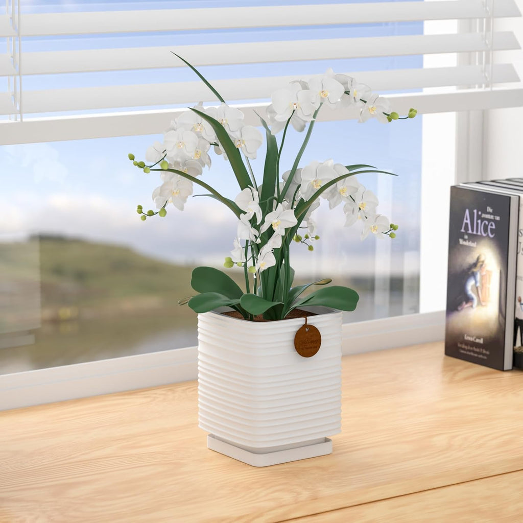 7.1 Inch White Ceramic Planter with Drainage and Saucer | 7.1 x 7.1 x 8.5 Inches | Ideal for Indoor and Outdoor Plants