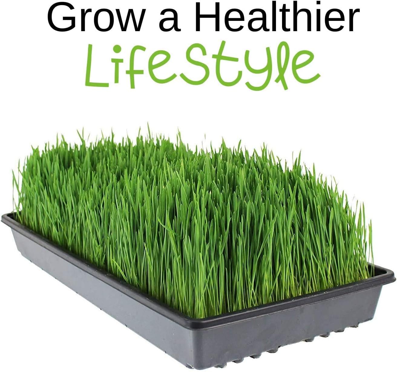 Handy Pantry Micro-Mats Hydroponic Grow Pads for Organic Production 10 Pack | Plant & Seed Germination: Wheatgrass