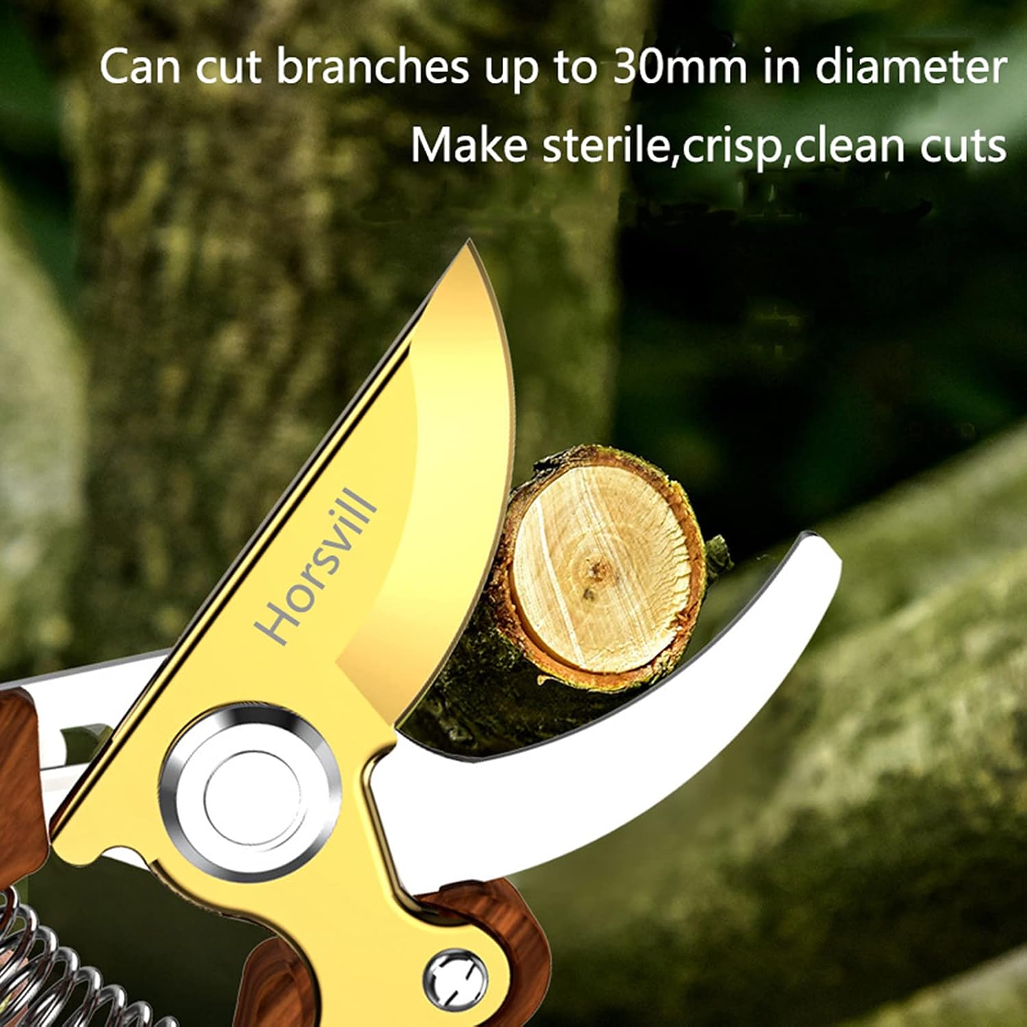 Garden Shears, Japanese Floral branch cutters, Snips for Gardening, Flower scissors Florist clippers, Hand Held Pruners