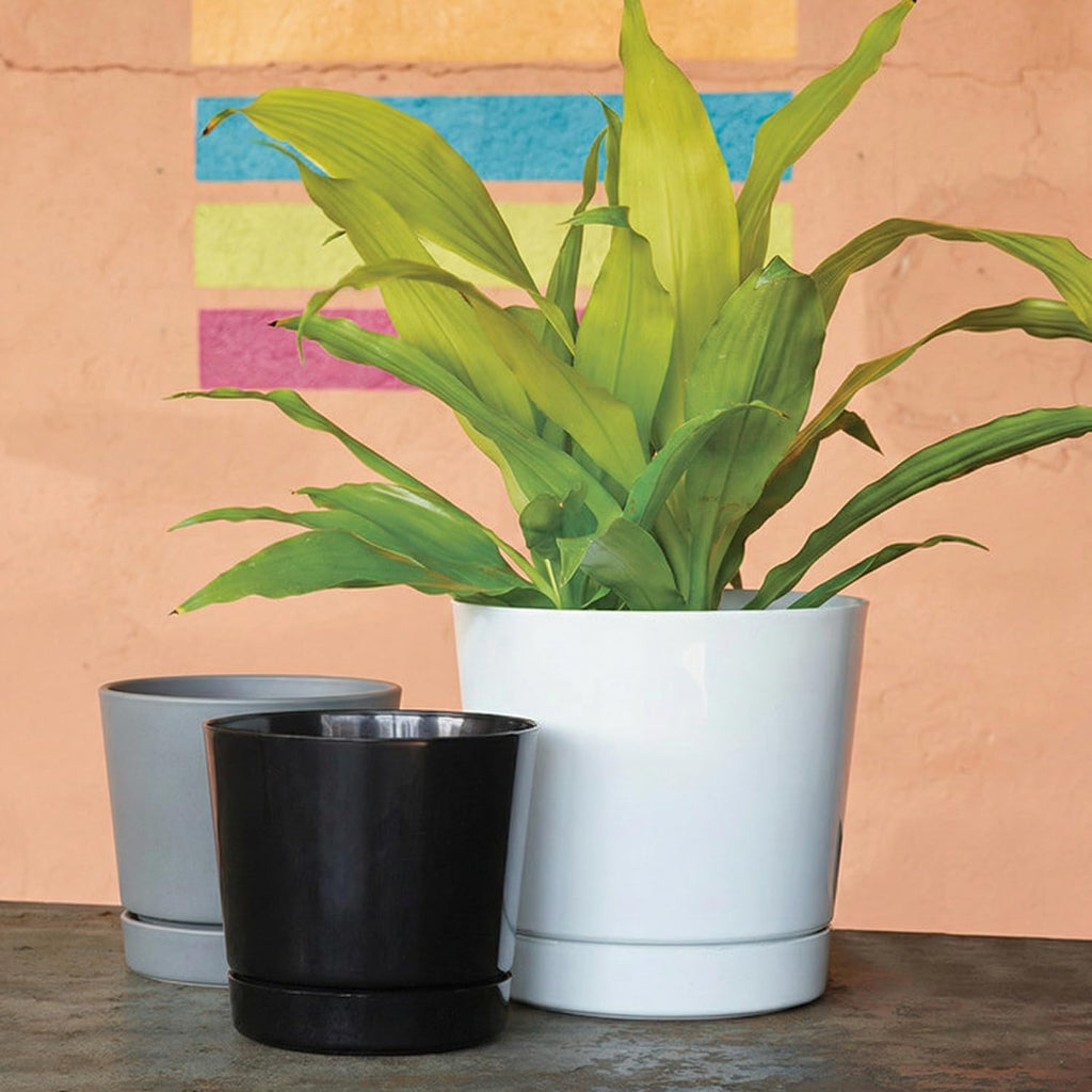 Root & Vessel Majestic Full Depth Round Cylinder Pot, Glossy Gray, 12-Inch (10120)