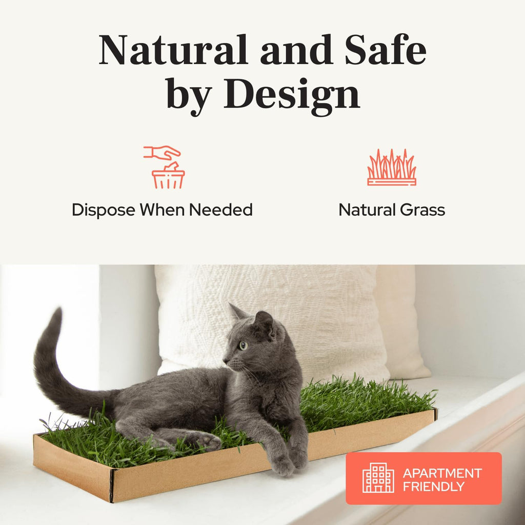 Kitty Lawn Real Grass Cat Lounger & Bed - Natural Grass Pad for Cats 24x9 | USA-grown real grass lounging pad for