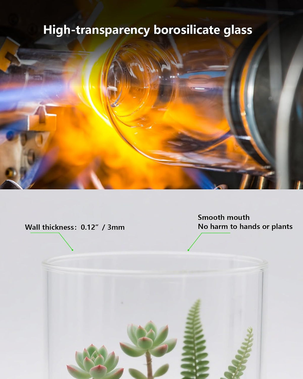 Desktop Glass Terrarium with Grow Light (7.5" H x 5.9" D) - for Succulents, Moss, Mini Gardens, Betta Fish Tanks