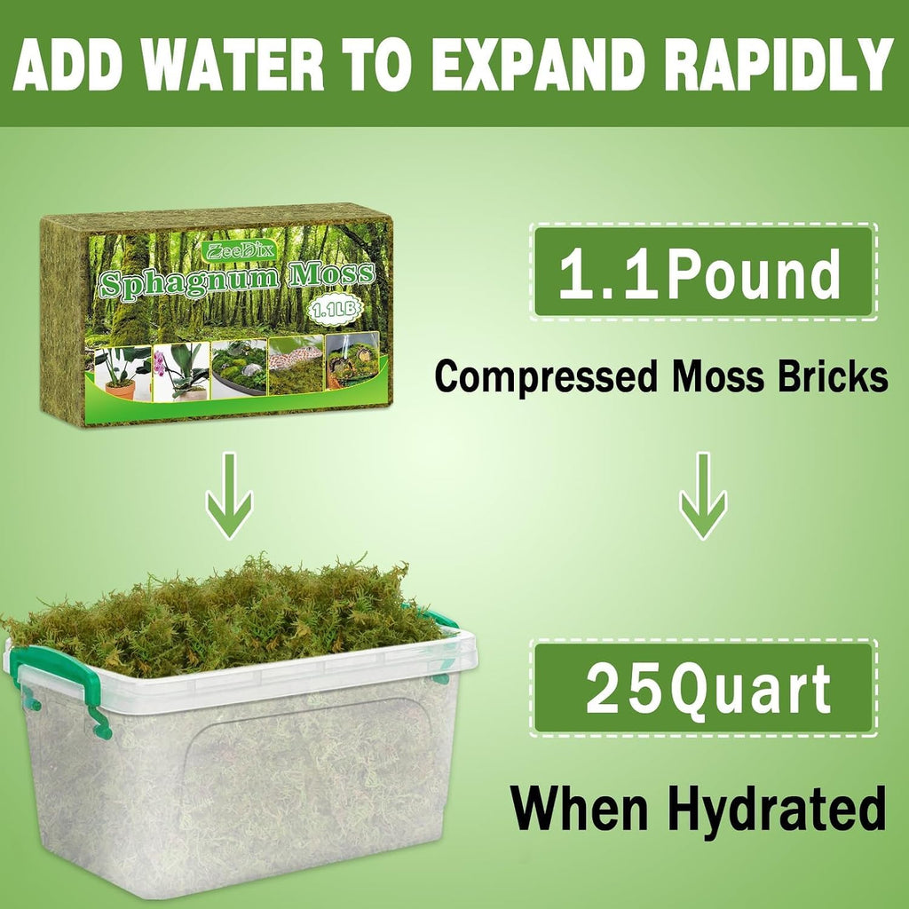 Sphagnum Moss 4.4 LB Long Fiber Green Forest Moss | Ideal for Repotting Orchids, Succulents, and Indoor Plants. Natural