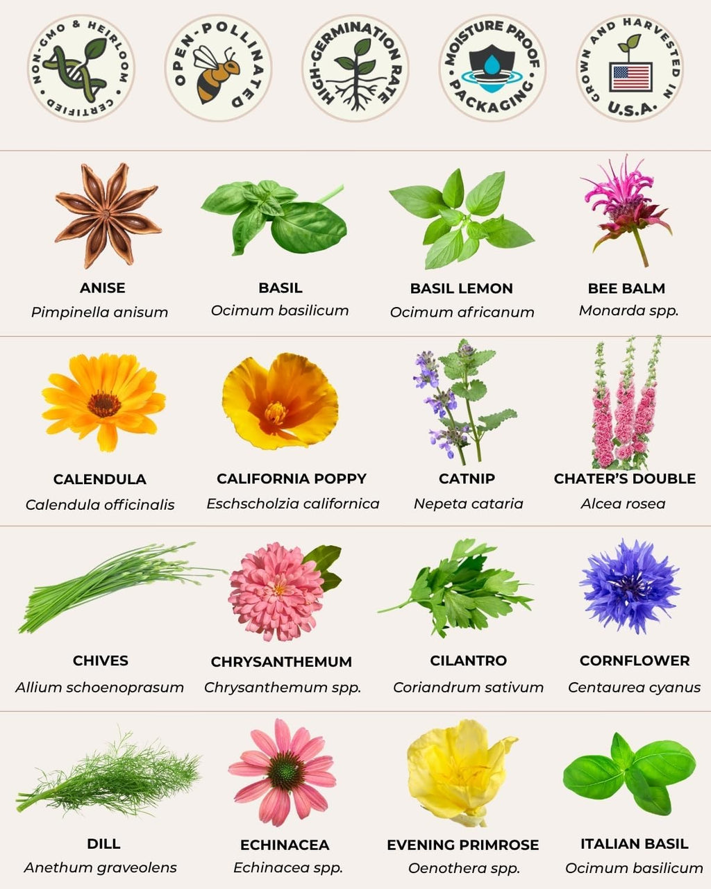 Tactiko Edible Flowers & Popular Herb Seed Kit | 35 Varieties | Non-GMO