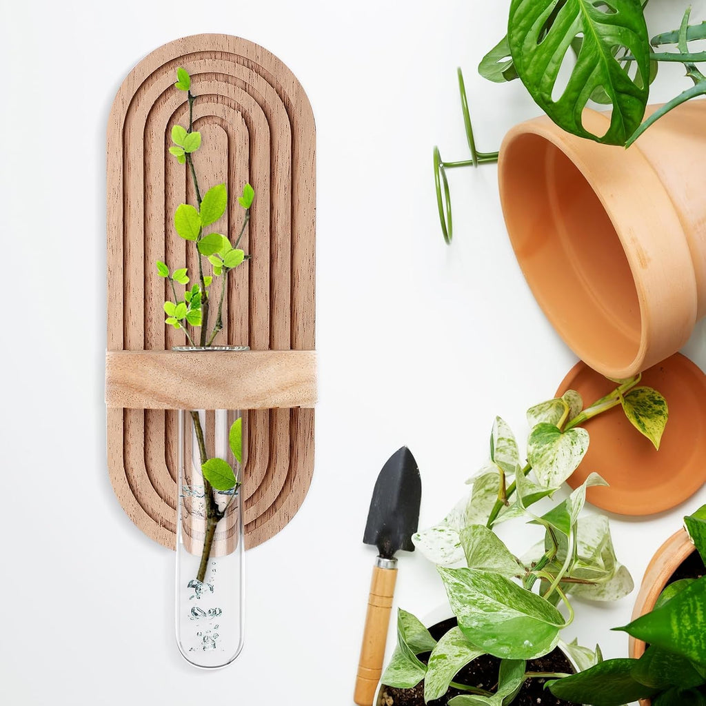 Beeveer 4 Sets Hanging Plant Propagation Stations Walnut Wood Wall Mounted Test Tube Vase Rustic Decorative Glass