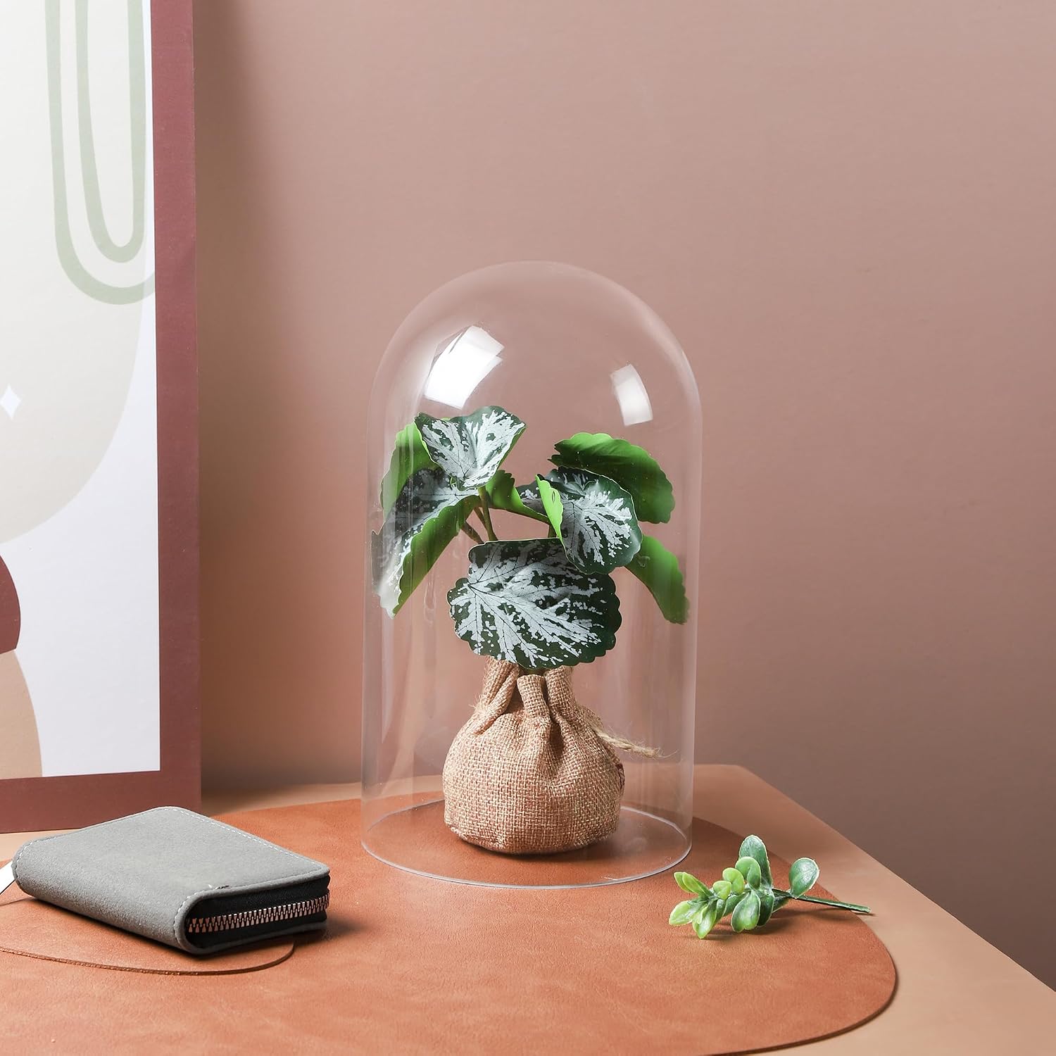 10" Tall Clear Glass Display Cloche, Dome Shape for Terrarium, Plants, Trinkets, Cakes, Figurines, LED Light String