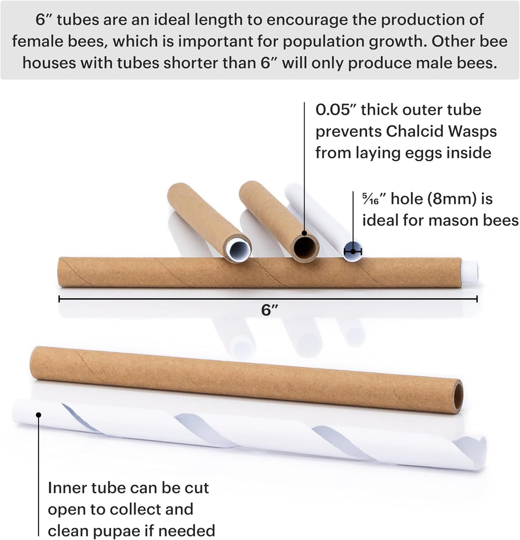 WHITEHORSE Premium Cedar Bee House - 6” Long Replaceable Tubes - Perfect for Mason Beekeeping - an Insect Hotel Built
