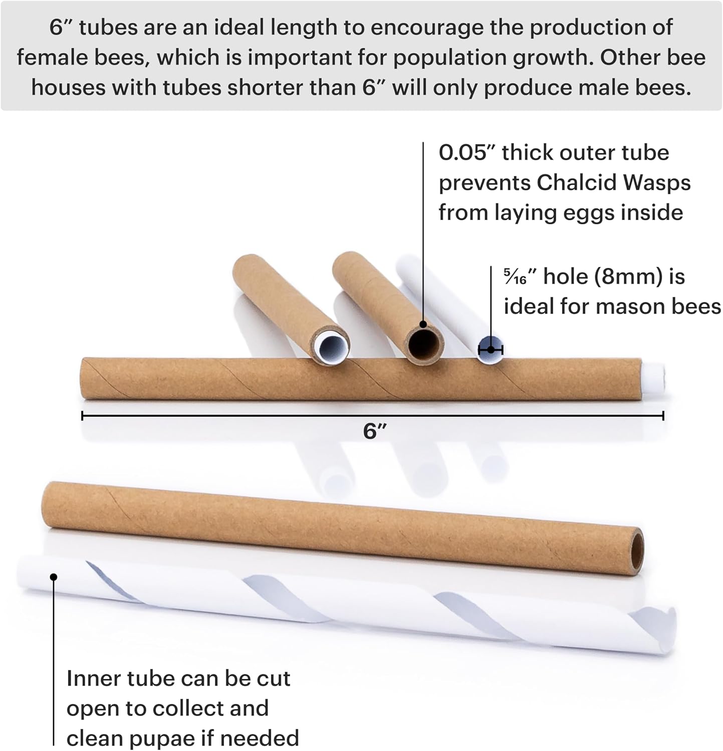 WHITEHORSE Premium Cedar Bee House - 6” Long Replaceable Tubes - Perfect for Mason Beekeeping - an Insect Hotel Built