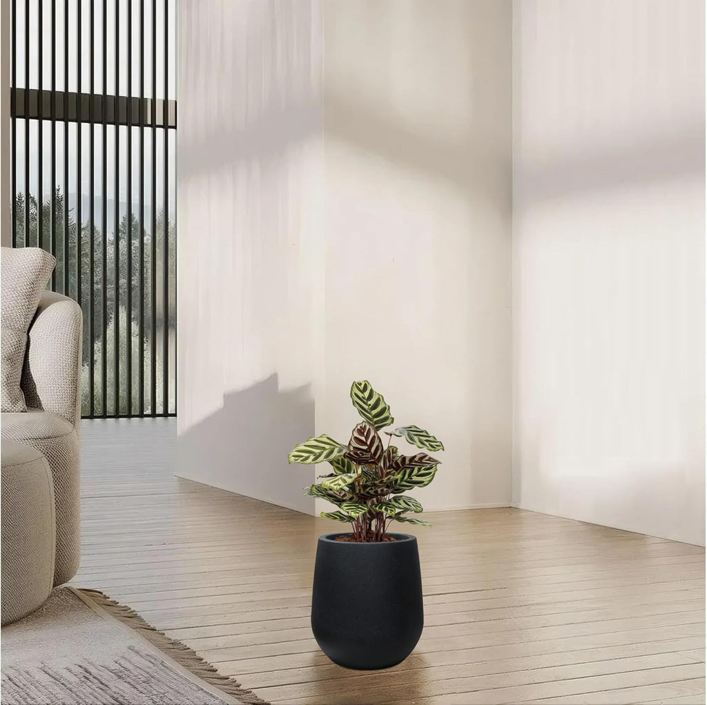 11.8" H Plastic Matte textured Black Planters with Drainage Holes and Plug | Indoor/Outdoor Use, UV/Weatherproof