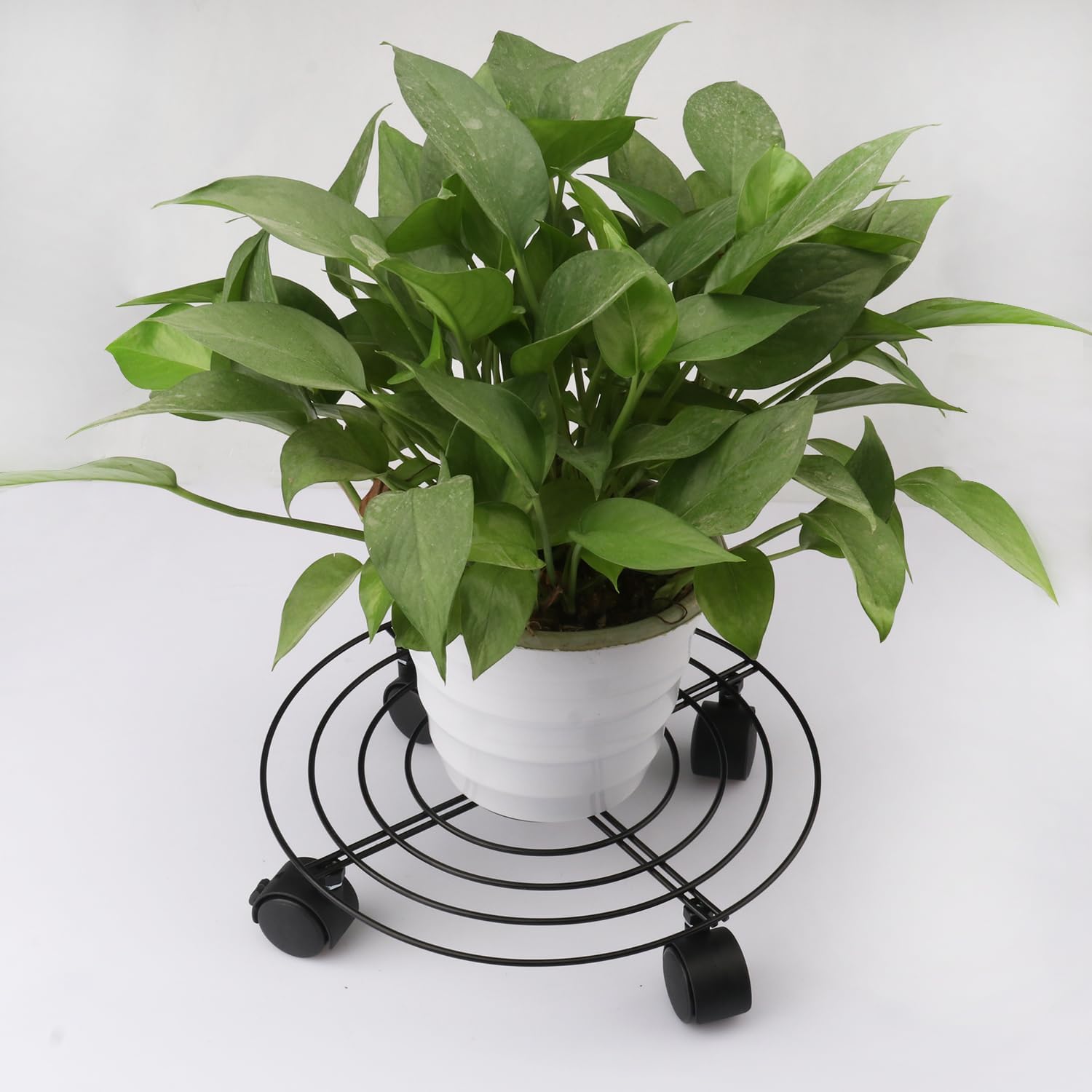 5 Pack 10.6 Inch Metal Plant Caddy with wheels, Heavy Duty Plant Dolly for Indoor and Outdoor Large Potted Plants, Black