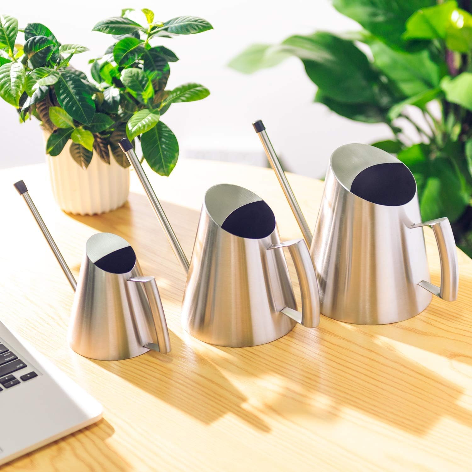 IMEEA Stainless Steel Indoor Watering Can with Long Spout Modern Watering Can for Small Indoor Plants, 50oz / 1.5L
