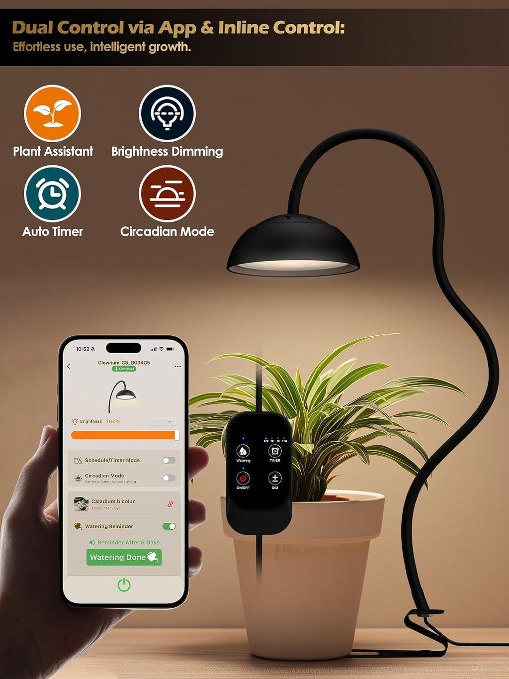 Smart Grow Light for Indoor Plants, Full Spectrum Plant Grow Light | 10W LED Plant Light with 3/9/12 Timer, Smart