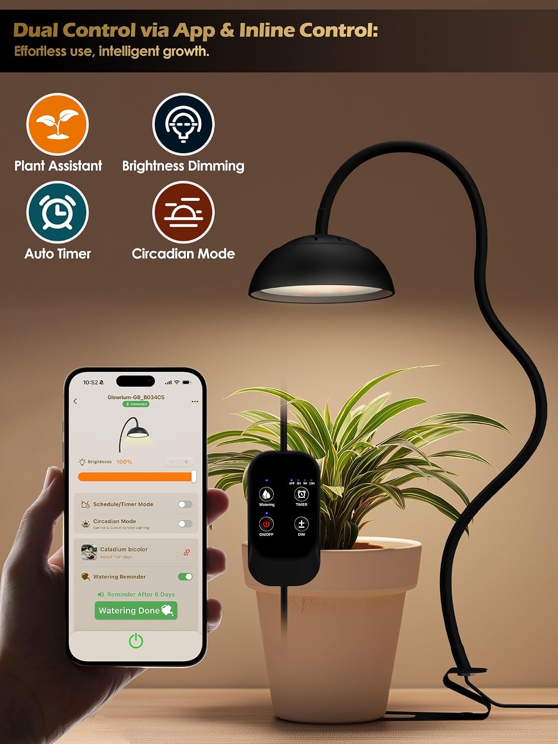Smart Grow Light for Indoor Plants, Full Spectrum Plant Grow Light | 10W LED Plant Light with 3/9/12 Timer, Smart