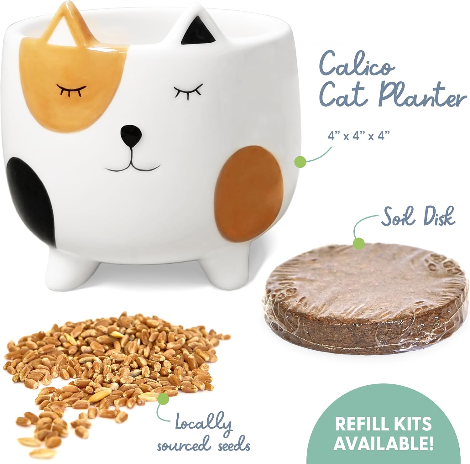 The Cat Ladies Cat Grass for Indoor Cats, Cat Grass Growing Kit with Organic Cat Grass Seed Mix, Soil and Ceramic Cat