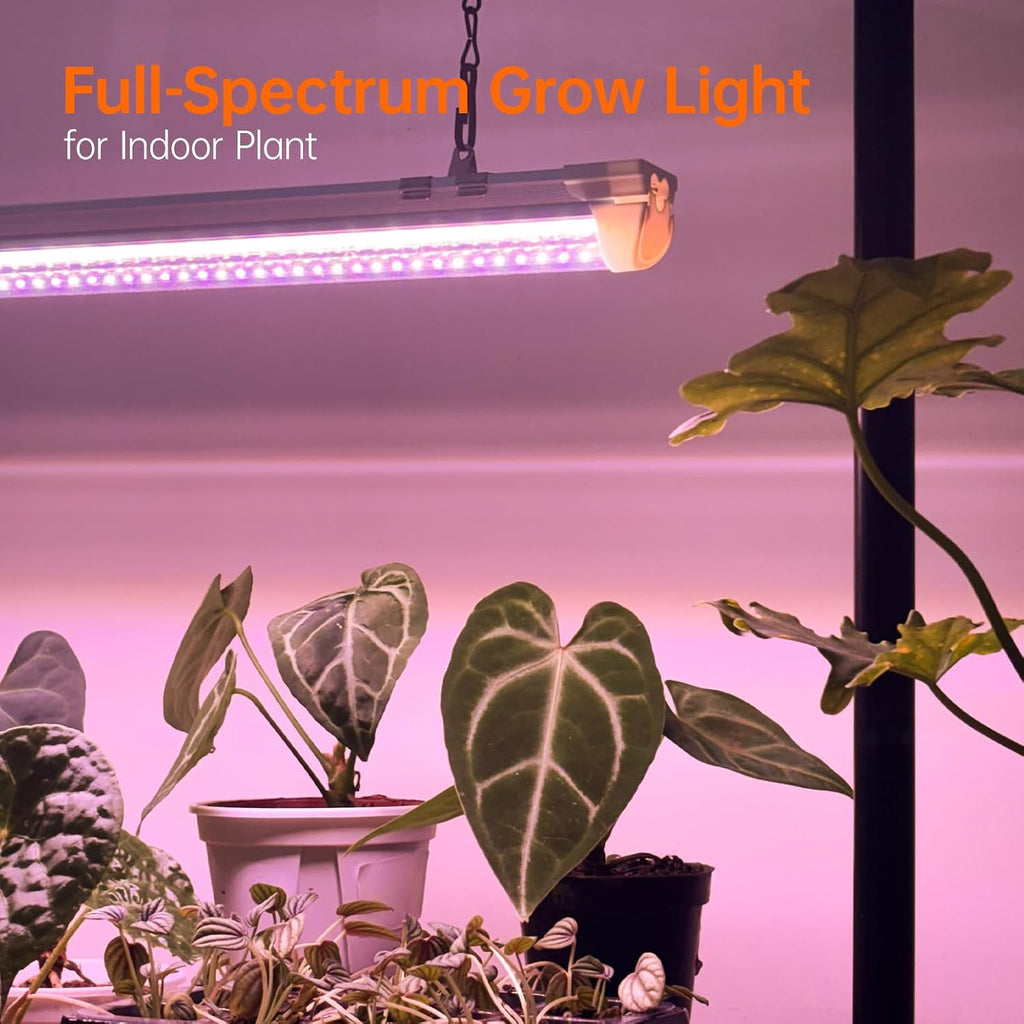 2ft Tabletop Grow Light Stand for Indoor Seed Starting | 24W Full Spectrum LED Plant Light, Height Adjustable, for