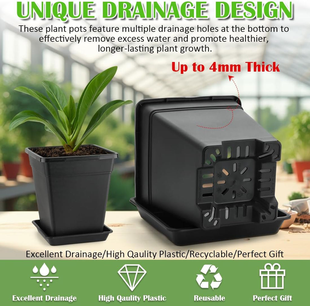 6 inch Plant Pots, 10 Pack Flower Pots Outdoor Indoor, Square Plastic Planter with Drainage Holes and Saucers, 0.5