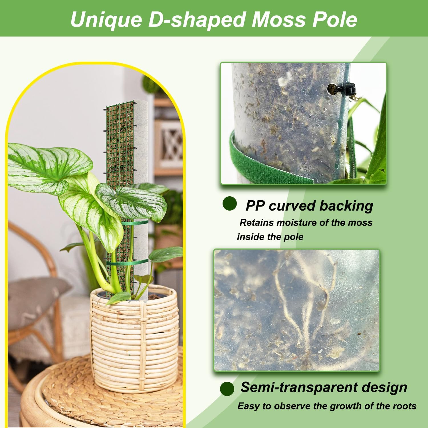60"/40"/24" Metal Moss Pole, D Shape Sphagnum Moss Pole, Moss Poles for Climbing Plants, Monstera, Indoor Climbing