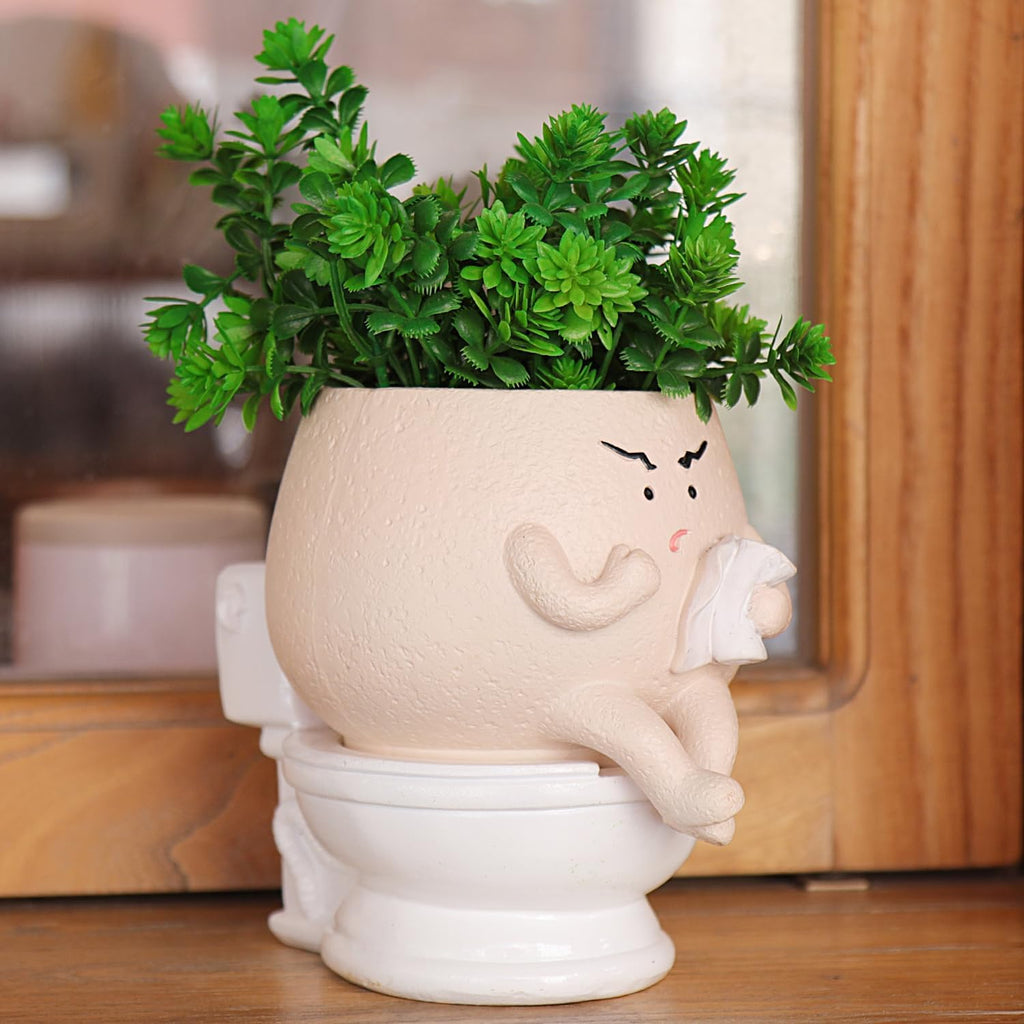 NINIPAPA Funny Face Toilet Planter with Drainage Hole for Indoor Plants, Cute Self Watering Plant Pot for Succulent