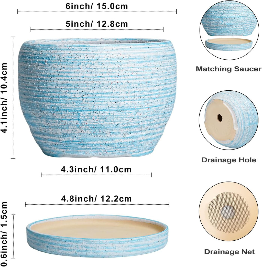 SQOWL Ceramic Planters for Indoor Plants - 6 Inch Plant Pot Indoor Outdoor, Decorative Flower Pot with Drainage Hole
