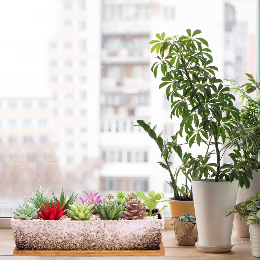Succulent Pots - Large Succulent Planter Pots with Drainage, 12 Inch Long Rectangle Bonsai Pot with Bamboo Tray Shallow