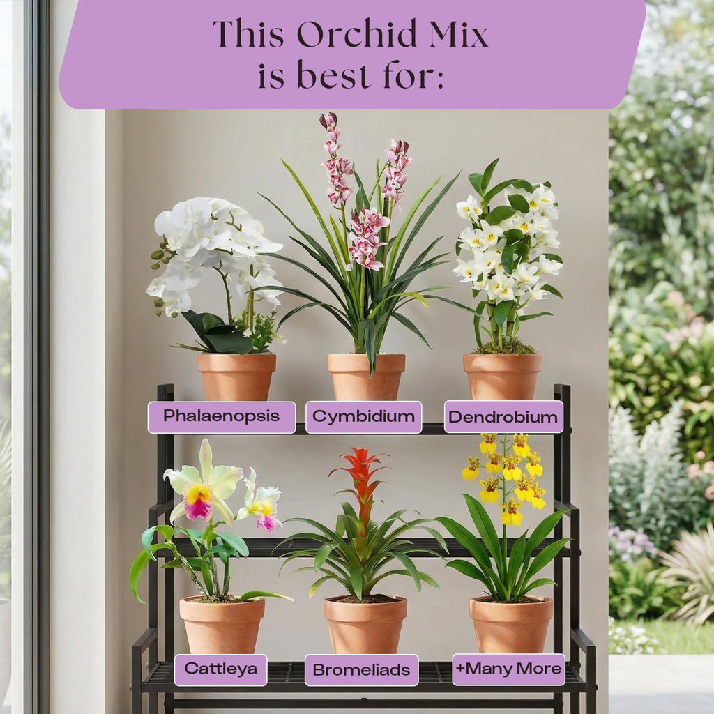 Rosy Soil Orchid Potting Mix, 4 Quarts | Peat-Free Orchid Soil for Repotting, Phalaenopsis, Cattleya, Dendrobium