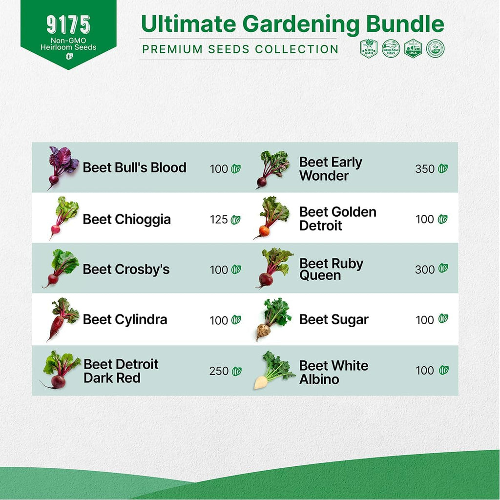 10 Carrot & 10 Beet Seeds Variety Pack Bundle, 9,175+ Non-GMO Heirloom Garden Seeds for Planting Root Vegetables for