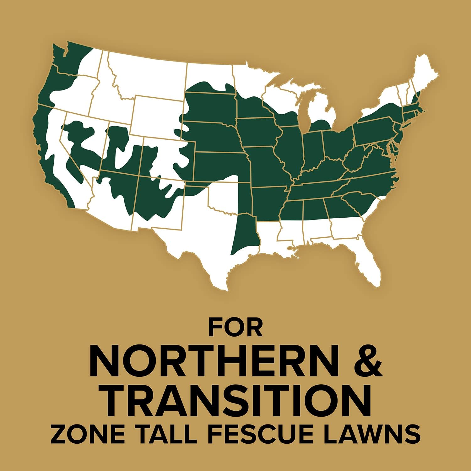 Scotts EZ Seed Patch & Repair Tall Fescue Lawns, 10 lbs.
