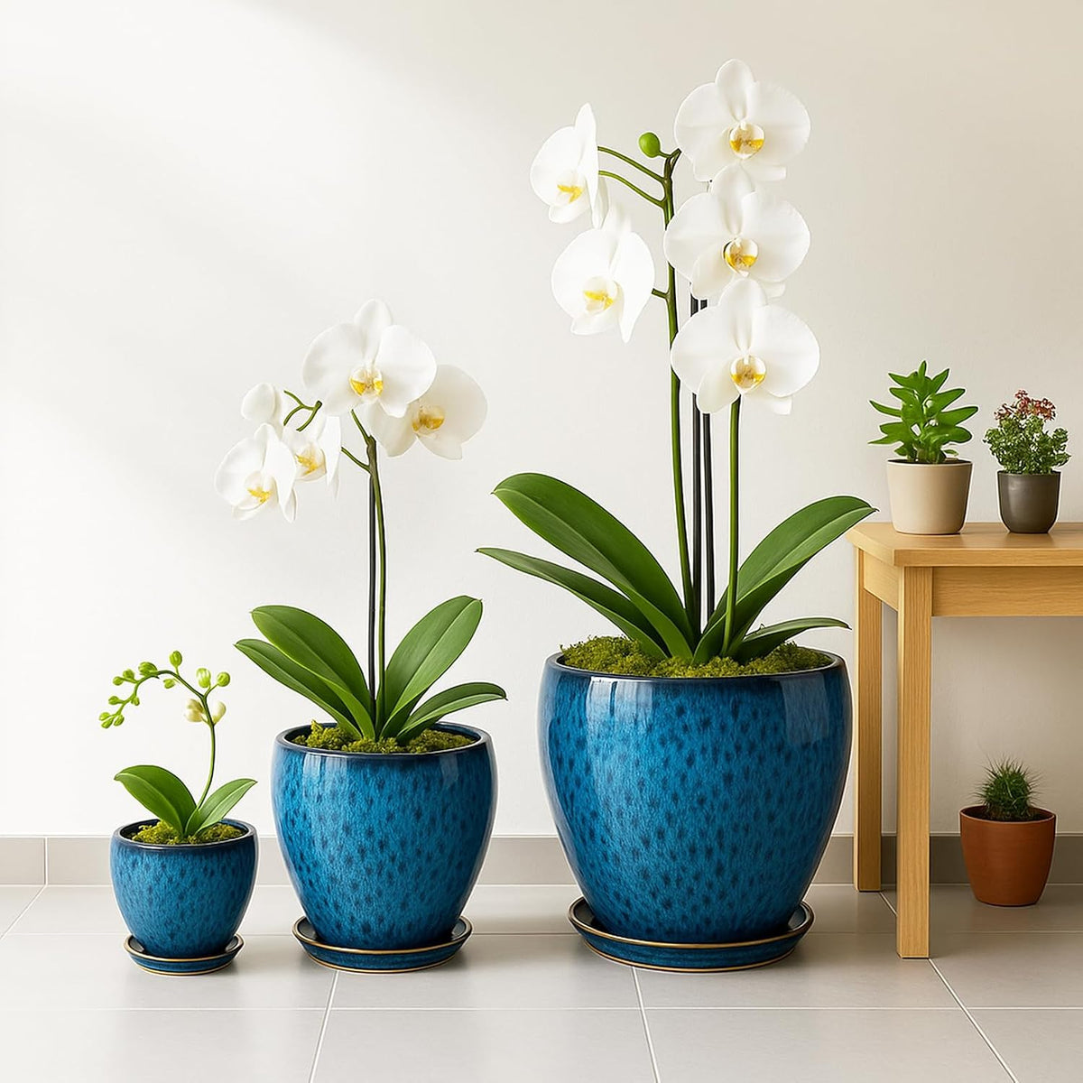 Deep Dream 10 Inch Plant Pot- Ceramic Planter Pot Round Plant Pots for Indoor Plants Outdoor Large Flower Pot with