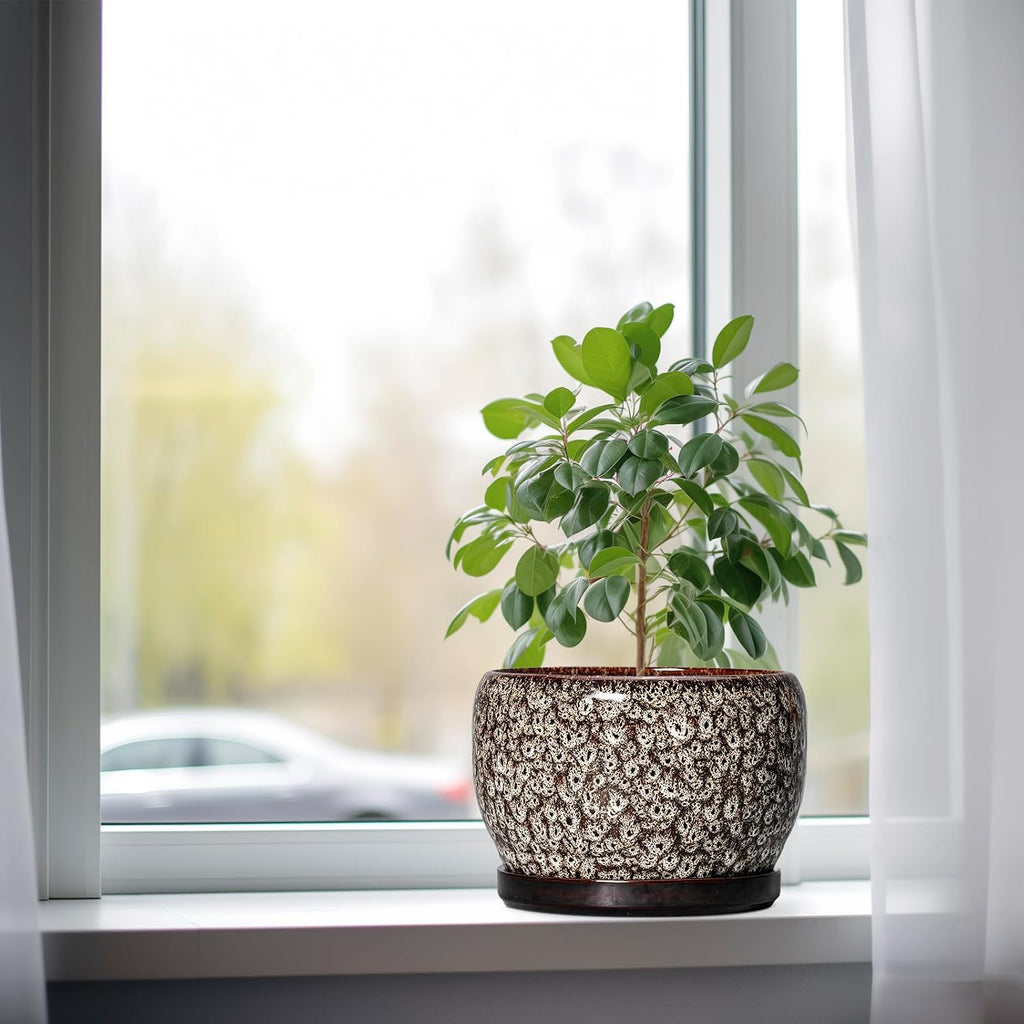 SQOWL Ceramic Planter - 8 inch Plant Pot Indoor with Drainage Hole and Plant Saucer, Round Ceramic Flower Pots Outdoor