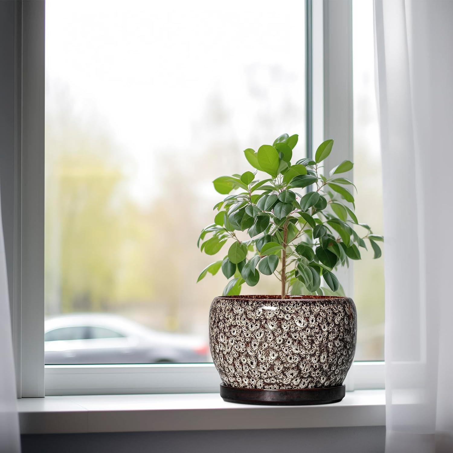 SQOWL Ceramic Planter - 8 inch Plant Pot Indoor with Drainage Hole and Plant Saucer, Round Ceramic Flower Pots Outdoor