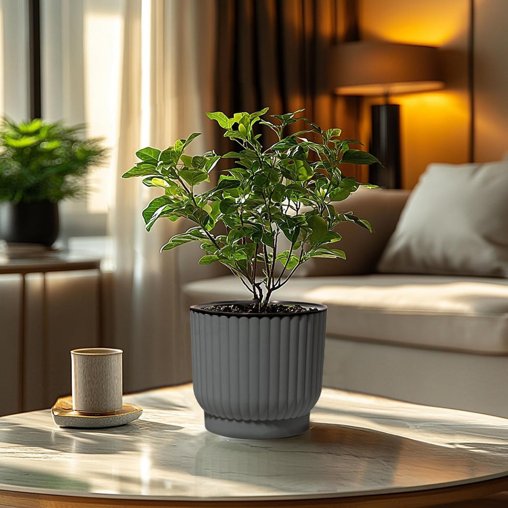 T4U Self Watering Pots for Indoor Plants, 7 Inch 4 Pack Planter Gray | African violet pothos ferns, Herb garden