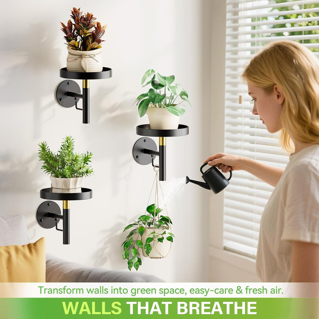 DELLAN Wall Plant Holder, 3 Pack Metal Stand, BlackGold | Hanging Shelves, Indoor Plants, Window Sill Decor, Multi-Room