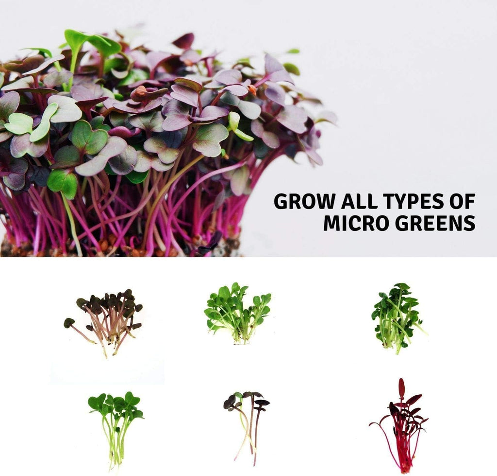 Handy Pantry Micro-Mat Minis Hydroponic Grow Pads - for Organic Production | Plant & Seed Germination: Wheatgrass